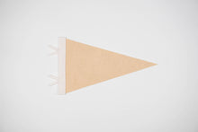 Load image into Gallery viewer, traveldashery - Custom city / state / location pennant: Mix of colors (add details to custom box) / I understand the current lead time for my order