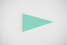 Load image into Gallery viewer, traveldashery - Custom city / state / location pennant: Mix of colors (add details to custom box) / I understand the current lead time for my order