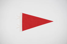 Load image into Gallery viewer, traveldashery - Custom city / state / location pennant: Mix of colors (add details to custom box) / I understand the current lead time for my order