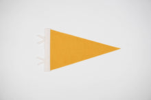 Load image into Gallery viewer, traveldashery - Custom city / state / location pennant: Mix of colors (add details to custom box) / I understand the current lead time for my order
