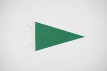 Load image into Gallery viewer, traveldashery - Custom city / state / location pennant: Mix of colors (add details to custom box) / I understand the current lead time for my order
