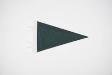 Load image into Gallery viewer, traveldashery - Custom city / state / location pennant: Mix of colors (add details to custom box) / I understand the current lead time for my order
