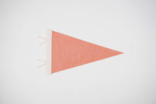Load image into Gallery viewer, traveldashery - Custom city / state / location pennant: Mix of colors (add details to custom box) / I understand the current lead time for my order
