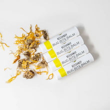 Load image into Gallery viewer, Beedandy - Bug Bite Balm, all natural after bite stick, .15 oz tube
